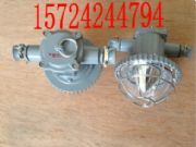 DGS18/127L18WA18WL
