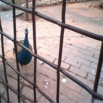 ӱP܈YW(wng)SҺԴ䓾W(wng)Fz(dng)VYW(wng)