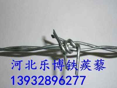 㽭С^(q)^IW(wng)A@־GoW(wng)