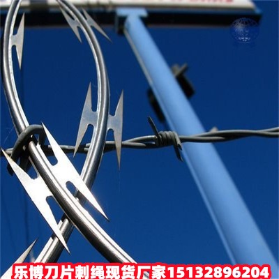 ӱ\ƬKSҸO(jin)zoW(wng)TIW(wng)