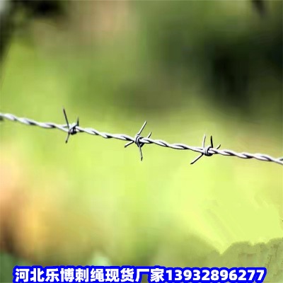 Ϻ\дFzW(wng)\FzW(wng)h\F޼
