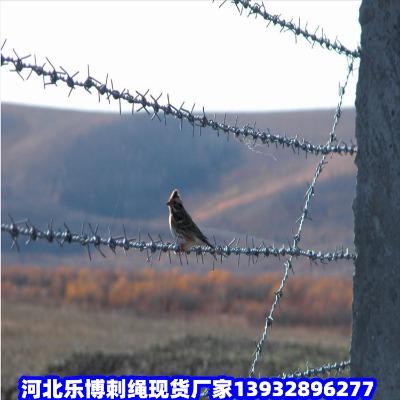 (ni)ɹŴ̾Fz޼ڻֹչ·̾W(wng)