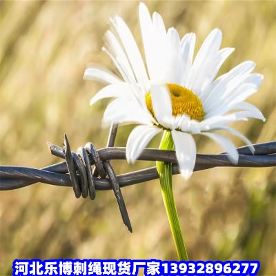 (ni)ɹŹ·̾W(wng)m\䓽zW(wng)~ż{\FzW(wng)