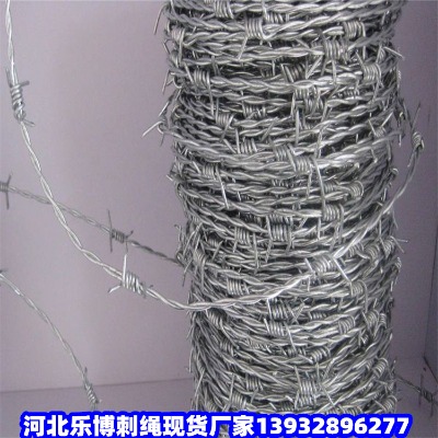 ٹ·дFzWĮӾGɫF޼ċ