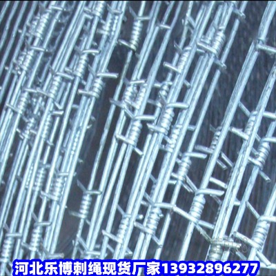 \FzW(wng)ײPдFzW(wng)ͩǲP䓴K