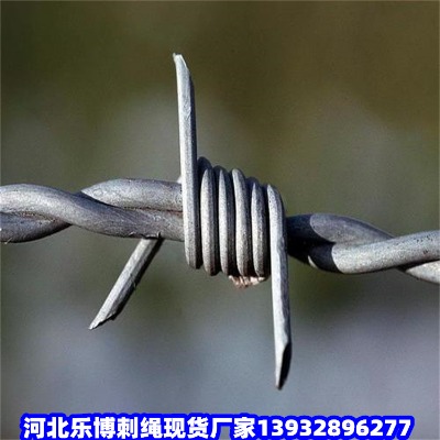 \䓽zW(wng)GT(mn)F̾W(wng)Тз̾W(wng)