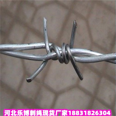 \KS ȦF޼ Ȏ·B(yng)oFzW