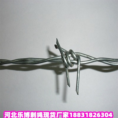 ӱ\KS (l)\Fz ¹Ȫ\䓽zW(wng)
