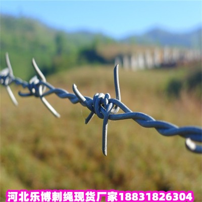 \KS 10\䓽zW(wng)