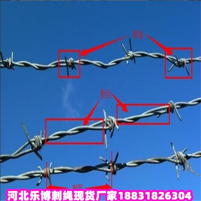 _(ti)\KS ҈@2.8׹@o(h)Fz