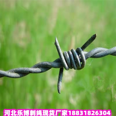 㽭\KS 10ȦɽдFzW
