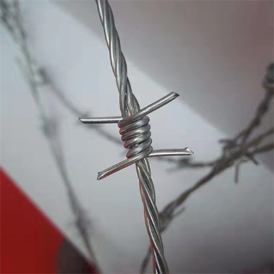 \KS10GƤK