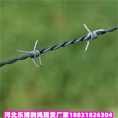 (ni)ɹ\KSֱ100pvcܴ̾W(wng)(yng)
