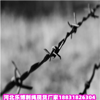 \KS5ȦɽдFzW(wng)(l)F(xin)؛(yng)
