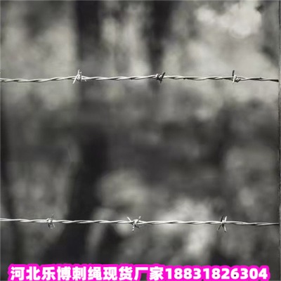 \KS2.2׵·B(yng)o(h)FzW(wng)(l)F(xin)؛(yng)