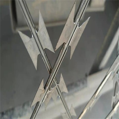 ̽zL\Sҹ(yng) ߅oW(wng) Fzx