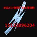 ̫ԭKoW(wng)ɽP䓵Ƭ̾W(wng)ͬCƬW(wng)