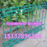 Ĵ䓽zW(wng)ɶpȦxŸνܷo(h)W(wng)