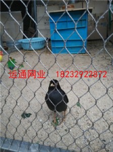 B᲻P䓾W(wng)B@P䓇ھW(wng)