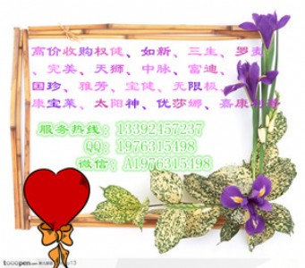 ˾߃r(ji)ُ(qun)a(chn)Ʒ