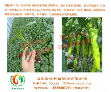 ӱl(f)ŷN簲ȫ