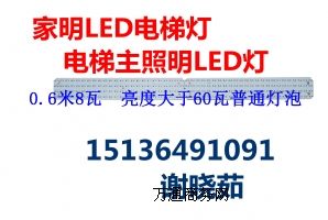 LEDݟLED