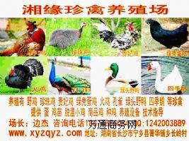 Yꖅ^(q)Gu;ɽ^(q)ȸ;G^Ұ;佭ļZ