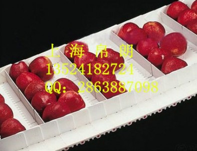 ʳƷϾW(wng) ʳƷϾW(wng)朏S ʳƷģKW(wng)會r 