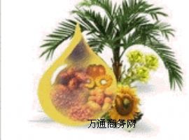 AI(y)(yng)黯ؙ