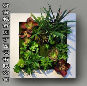 ҃(ni)ݿ͏dֲO(sh)Ӌ(j)չʾ-Ј@Ӎ-ϳЈ@@