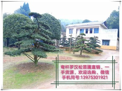 15ֺ_h-g(yng)_h辰l(f)