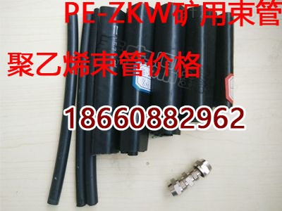 pe-zkw8*16pϩϢ