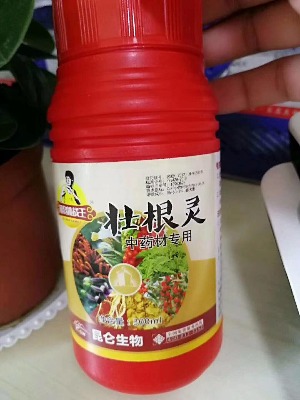 ̫ӅѸ`