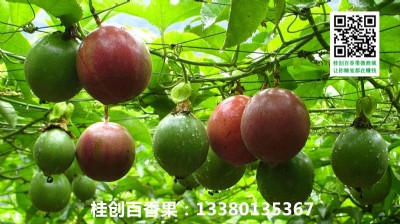 ϺϺl(f)r(ji)N(xio)VԽϰa(chn)