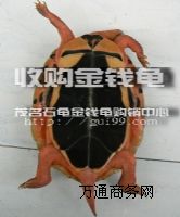 l(f)ʯX(qin)