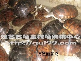 (yng)3-5ʯX(qin)