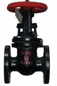 Z41T-16/10 DN50 Uly h(yun)yT(mn) LYϵ