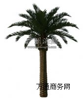 乩(yng)