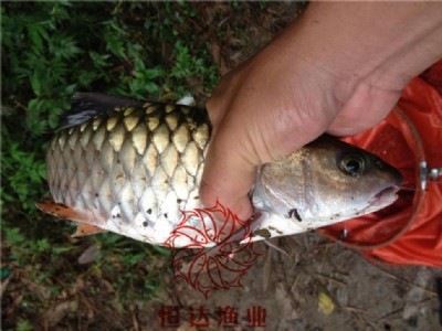 ~~l(f)Vݺ_(d)~硽~r(ji)