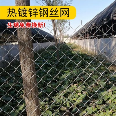 2mm֑WWУوoWWУw