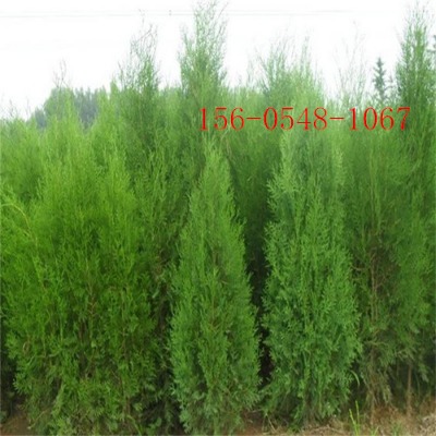 1ׂȰ؃r1.2-1.5-2ׂȰ3ׂȰ؈r