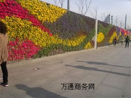 ƌW(xu)wGǰֱGO(sh)Ӌ(j)Gʩ