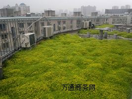 픻@e_G픾G