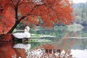 ʥzӰ⾰鼆?qng)?bo)r(ji)鼆zӰ⾰]