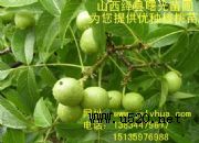 磬ƷN߮a(chn)(D)