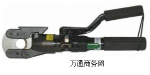 CG25քҺе