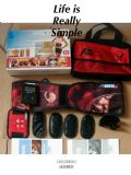 (yng)ABTronic X2ABAB
