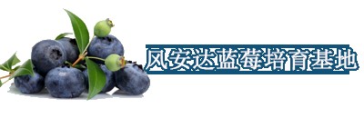 xrg{ݮl(f)Nֲ߮a(chn)ǉ