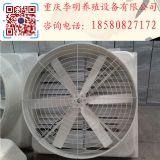 L(fng)C(j) B(yng)ֳO(sh) ؓ(f)L(fng)C(j) ȿB(yng)ֳL(fng)