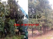 1213151618֏Vmr